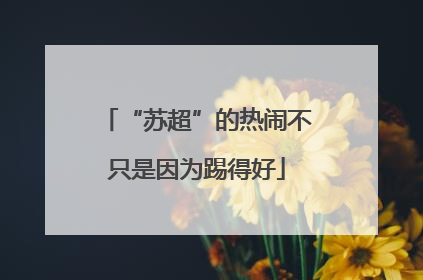 “苏超”的热闹不只是因为踢得好